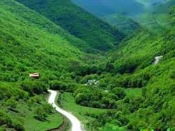 لزوم توجه ملی به مناطق جنگلی آذربایجان شرقی 