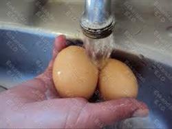 تخم مرغ را نشویید