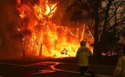  ابعاد جهانی آتش سوزی استرالیا